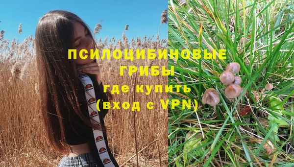 прущая мука Навашино