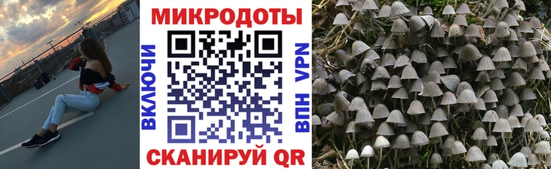 Псилоцибиновые грибы прущие грибы  Купить где  Судогда 
